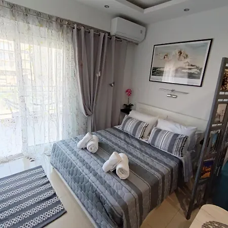 White Orchid - Modern