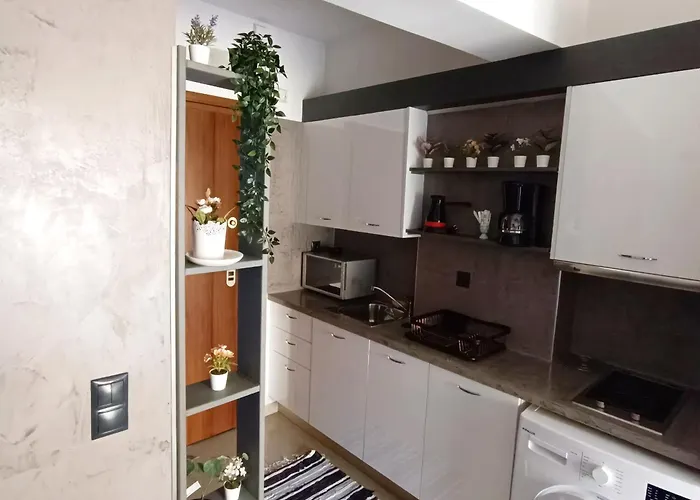 דירה White Orchid Modern Studio Near Metro & Free Parking סלוניקי